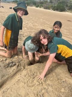 /uploaded_files/media/gallery/1775095660IMG_20260331_123414 (10).jpg